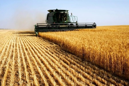 مؤشر منظمة الأغذية والزراعة لأسعار الغذاء